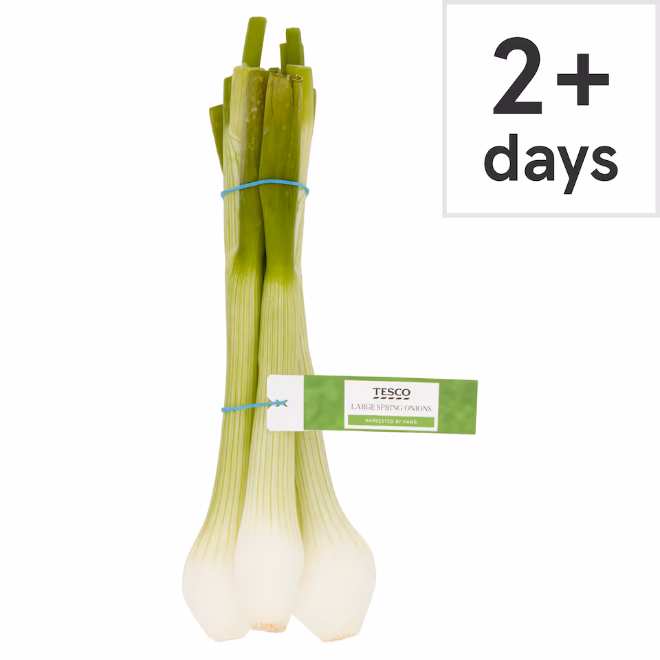 Tesco Large Spring Onions Bunched 130G