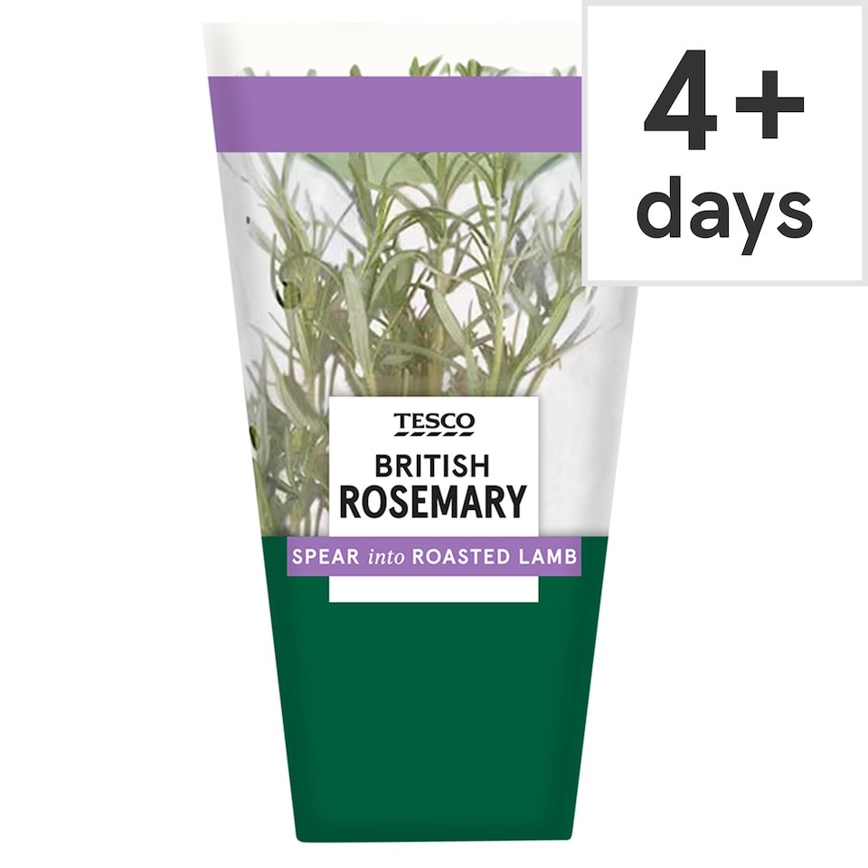 Tesco British Rosemary Medium Pot Each