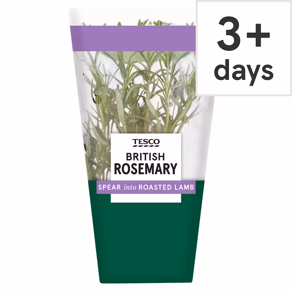Tesco British Rosemary Medium Pot Each
