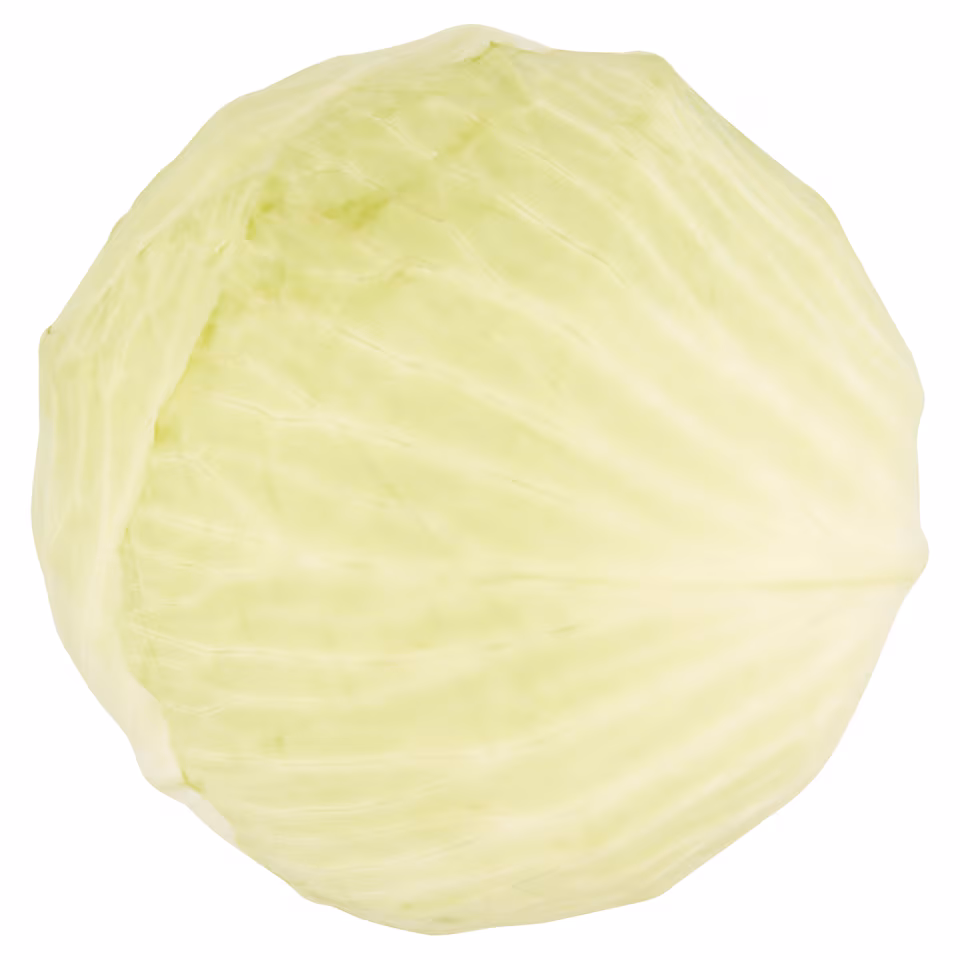 Tesco White Cabbage Each