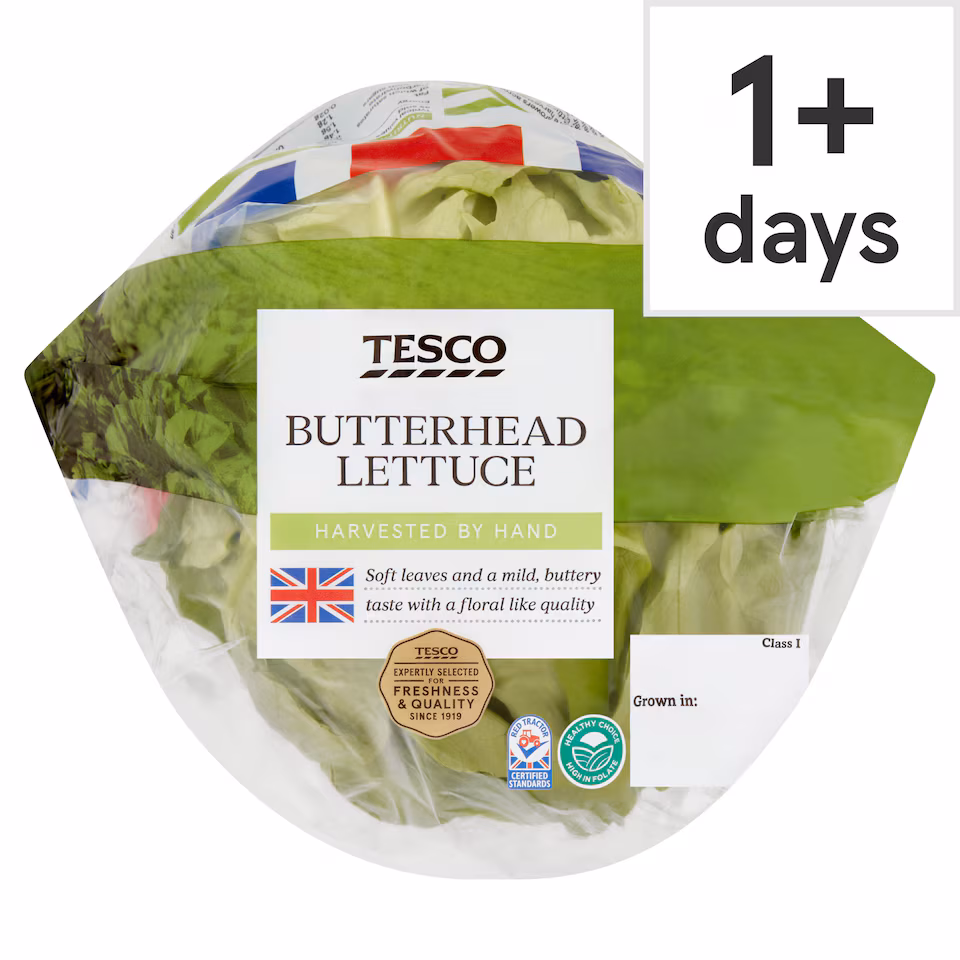 Tesco Butterhead Lettuce
