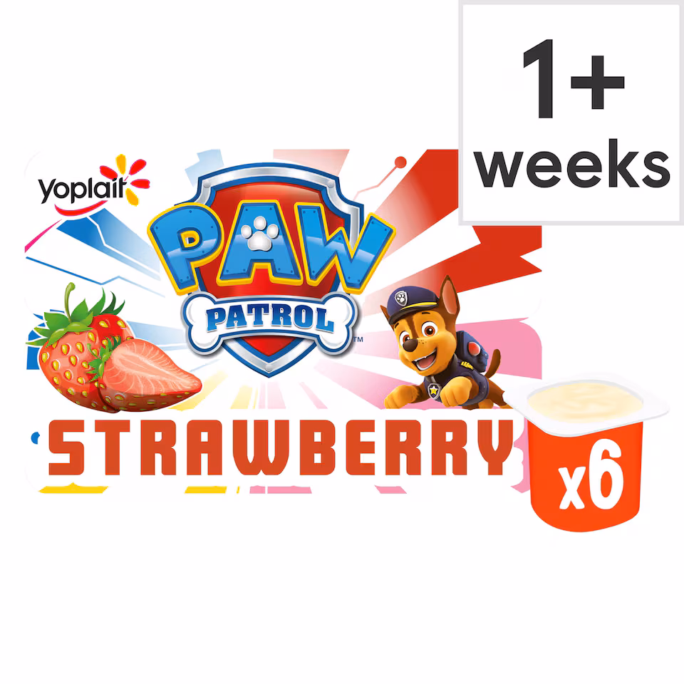 Paw Patrol Strawberry Fromage Frais 6X45g