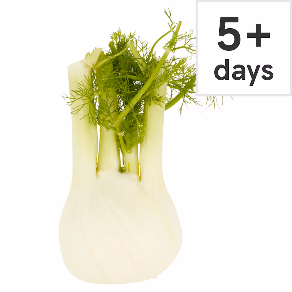 Tesco Fennel Each