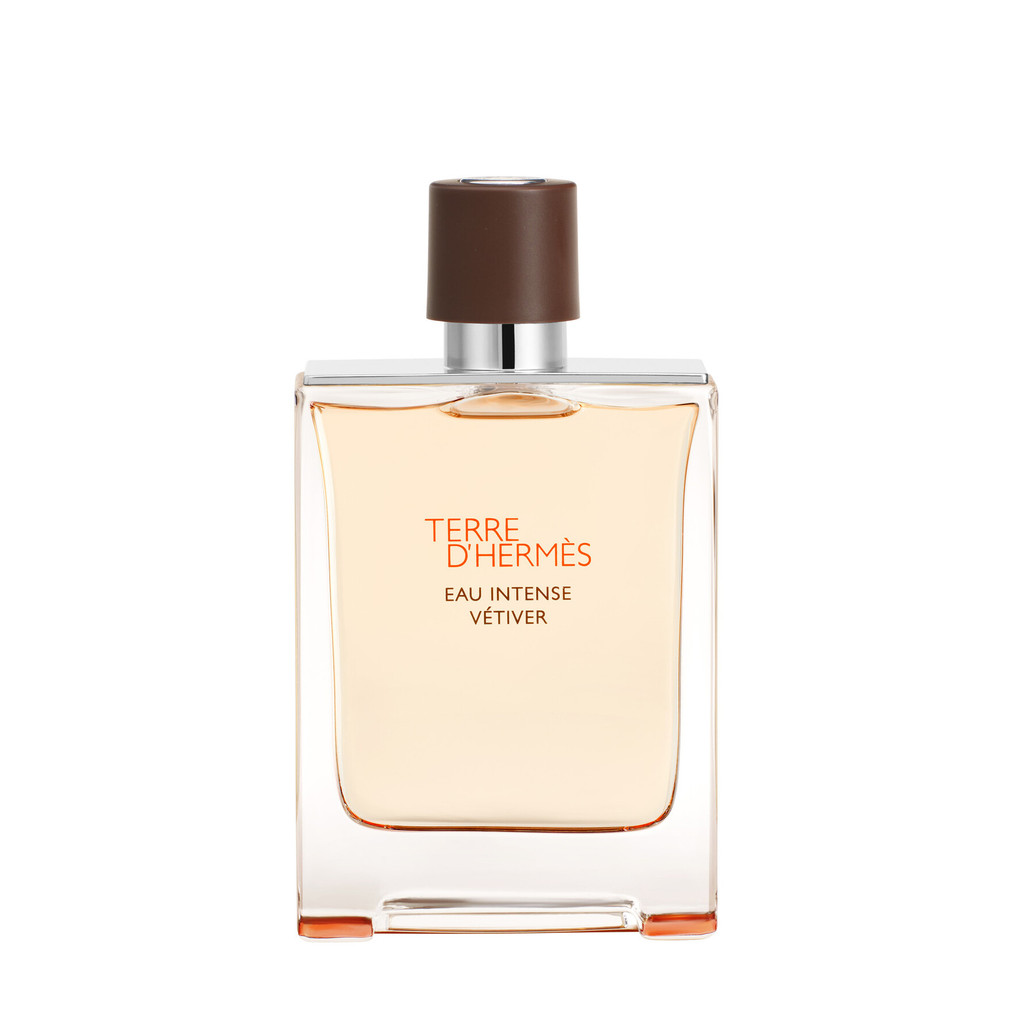 Terre d'Hermès Eau Intense Vétiver Eau de Parfum 100 ml