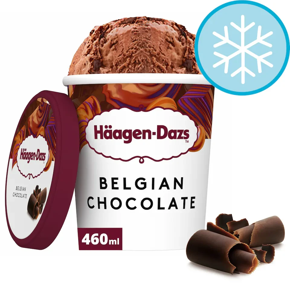 Haagen-Dazs Belgian Chocolate Ice Cream 460Ml