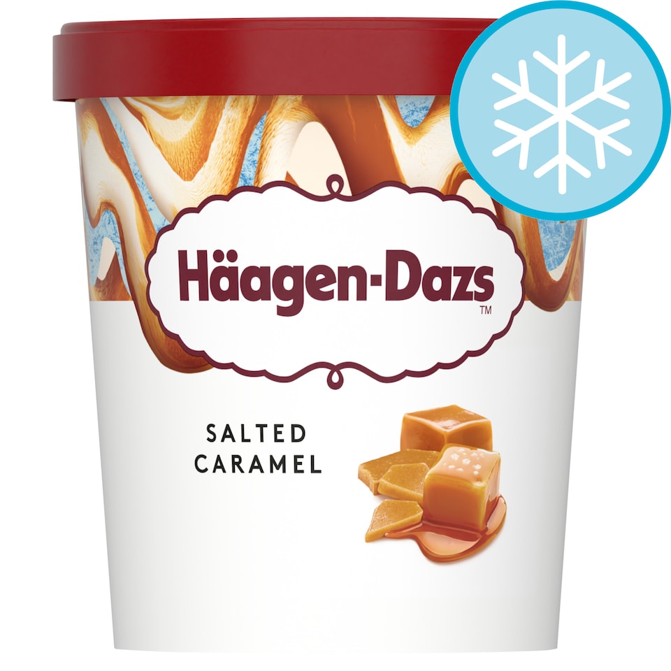Haagen-Dazs Ice Cream - Salted Caramel 460ml