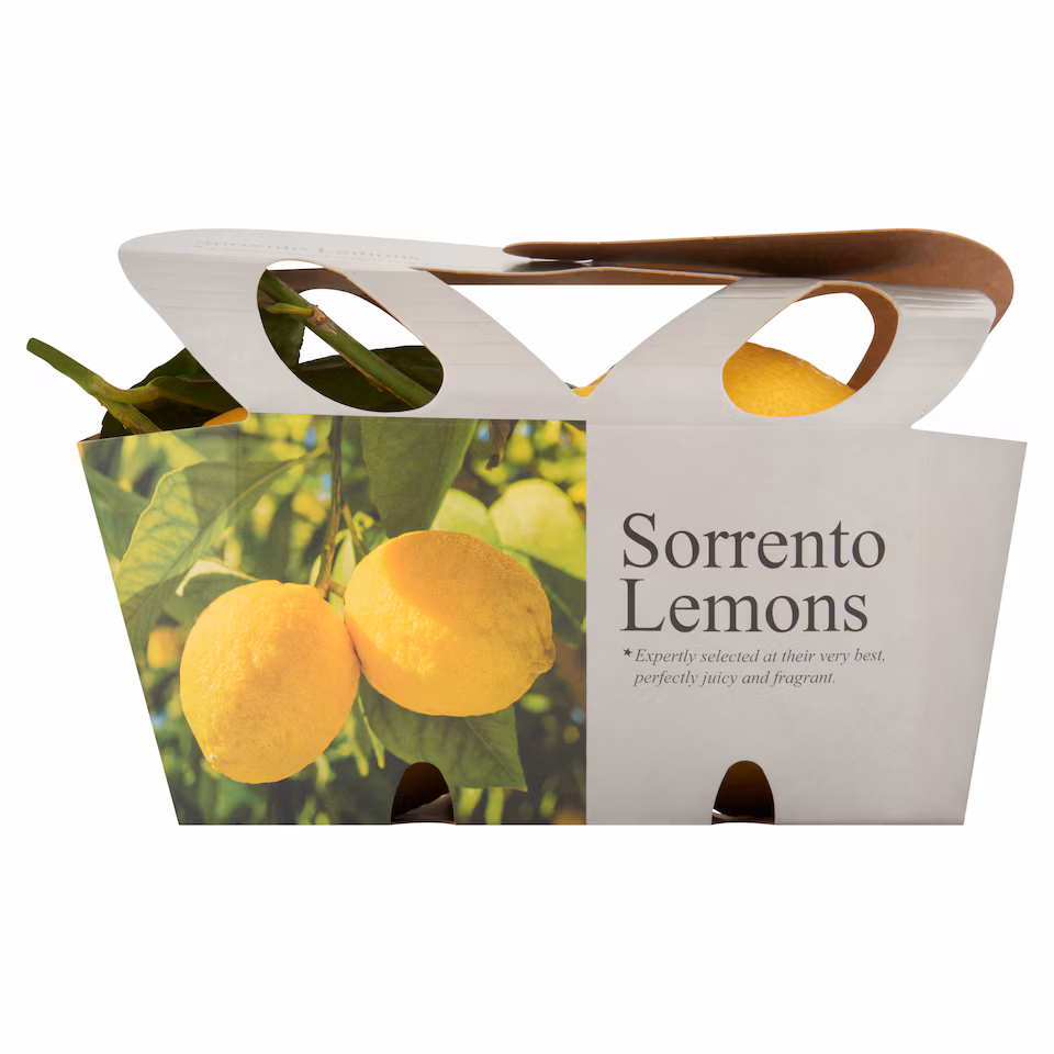 Tesco Finest Sorrento Lemons 2 Pack