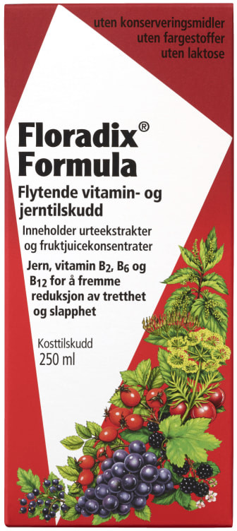 Floradix Formula 250ml