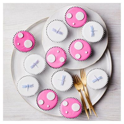 12 Toadstool & Dragonfly Cupcakes