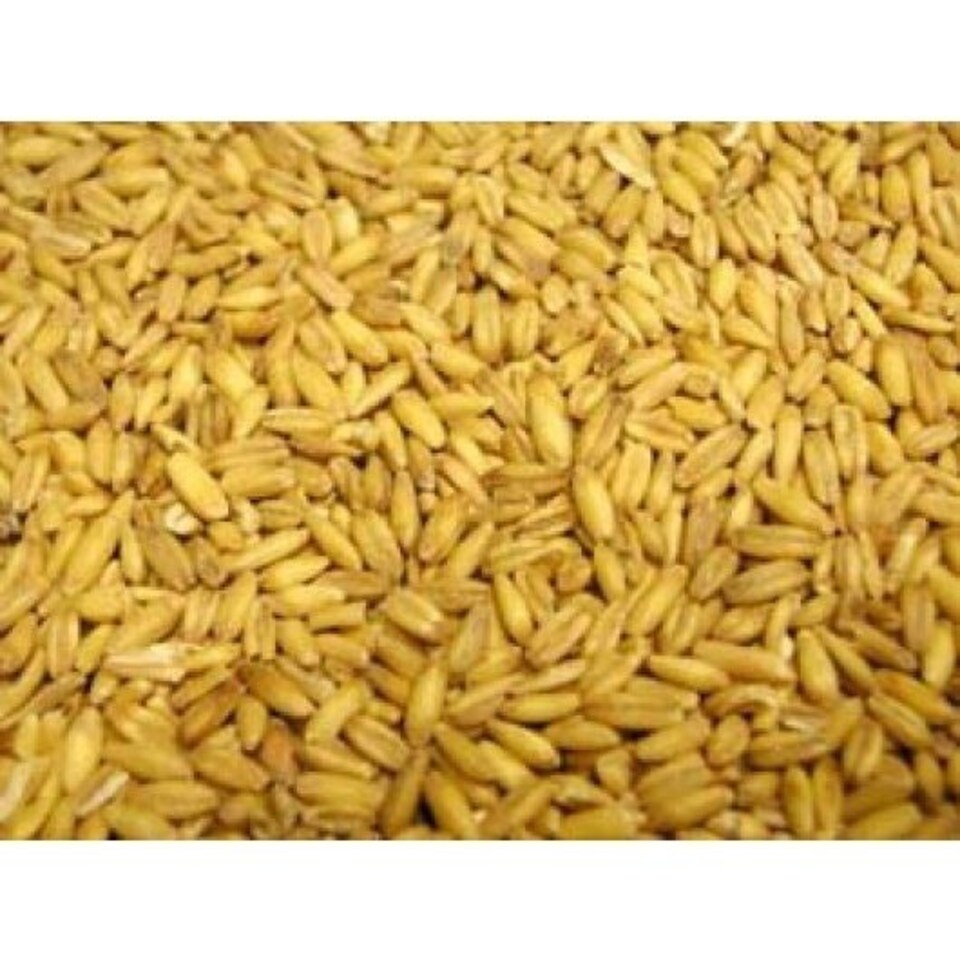 Morning Foods Mornflake Groats 25kg