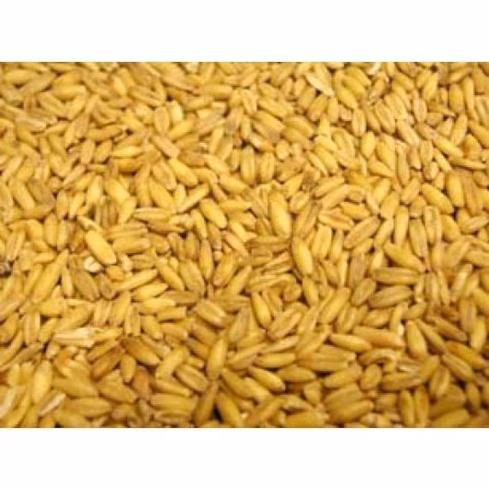 Morning Foods Mornflake Groats 25kg