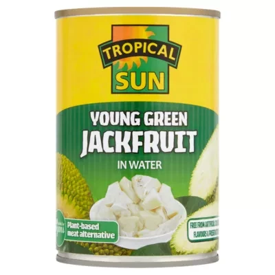 Tropical Sun Young Green Jackfruit in Water 400g