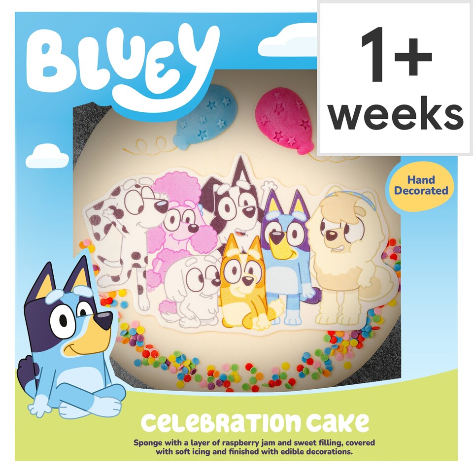 Bluey Celebration Cake with Raspberry Jam