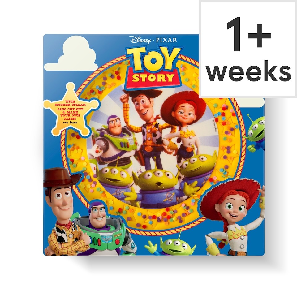 Disney Toy Story Celebration Cake