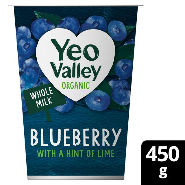 Yeo Valley Organic Blueberry & Lime Yogurt 450g