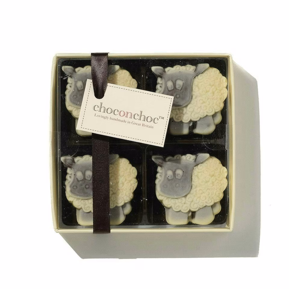 Chocolate Sheep