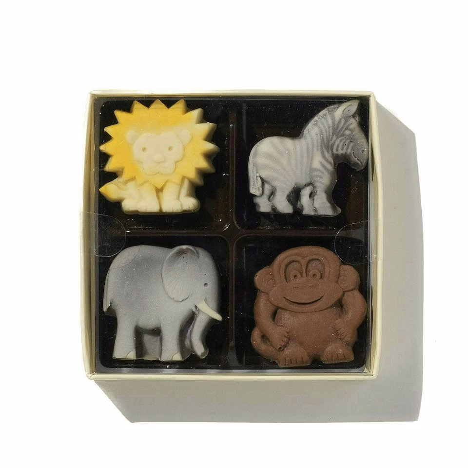 Lion, Zebra, Elephant And Monkey Chocolate Box