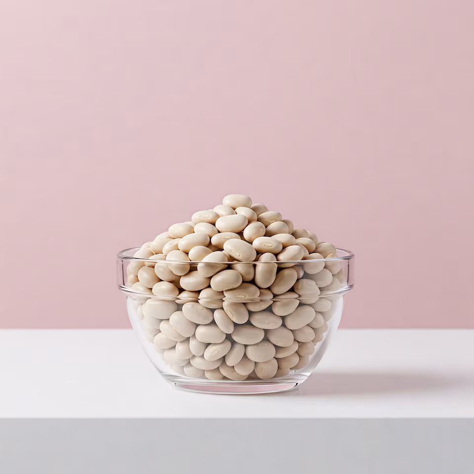 Organic Haricot Beans 2kg (Sussex Wholefoods) | Multi