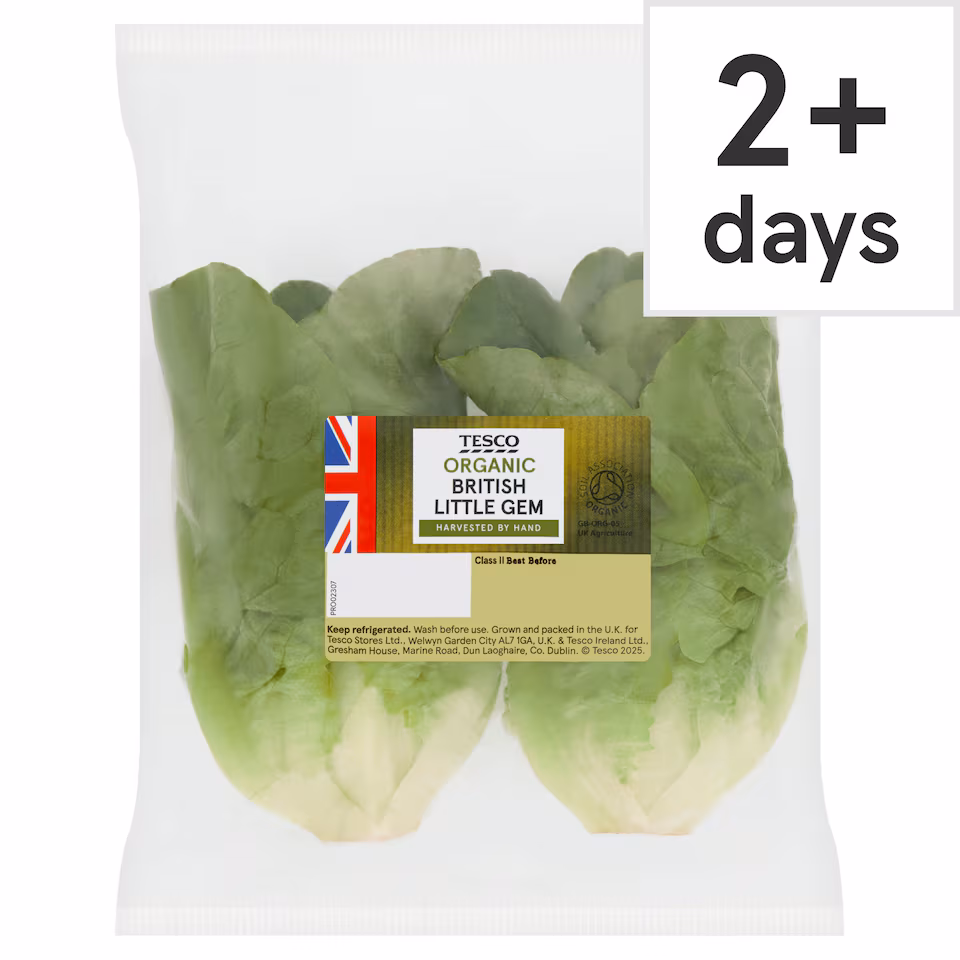Tesco Organic Little Gem Twin Pack