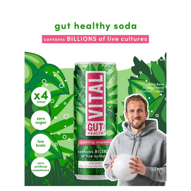 Vital Gut Healthy Sparkling Raspberry 4 x 330ml