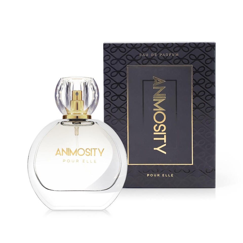 Regency Fragrances Luxury Inspired Women's Eau de Parfum 50ml - Animosity