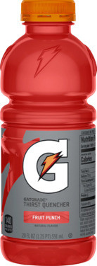 Gatorade Fruit Punch Usa 591ml