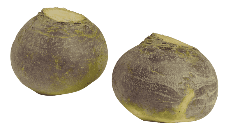 Kålrot