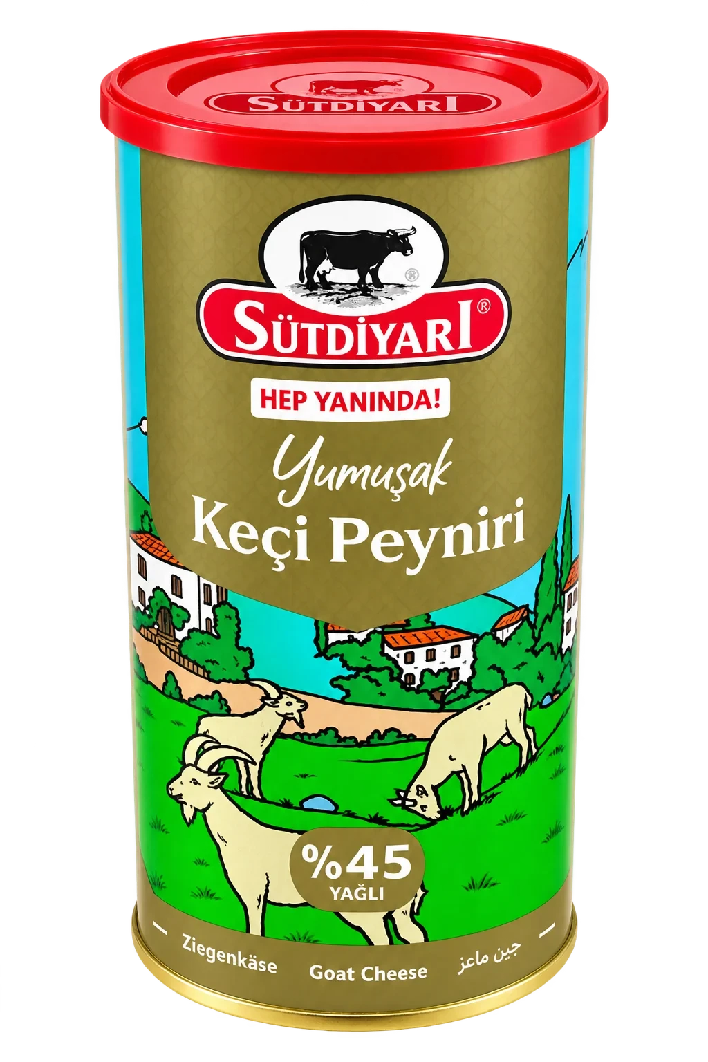 Sütdiyari Geit Feta Type Ost Keci 45% 800g