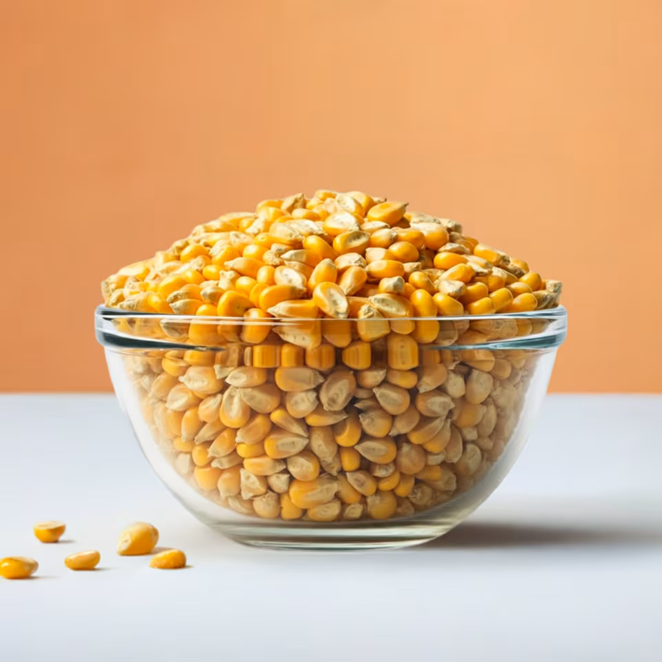 Organic Popping Corn 1kg (Sussex Wholefoods) | Multi