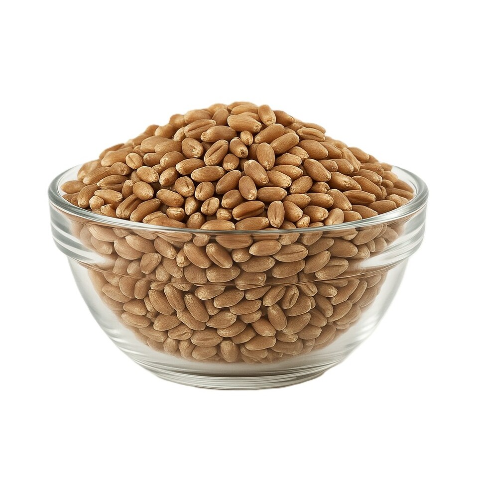 Organic Wheat Grain 1kg (Sussex Wholefoods) | Multi