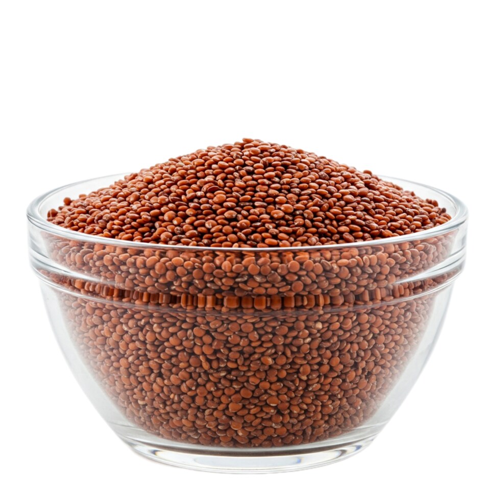 Organic Red Quinoa 500g (Sussex Wholefoods) | Multi