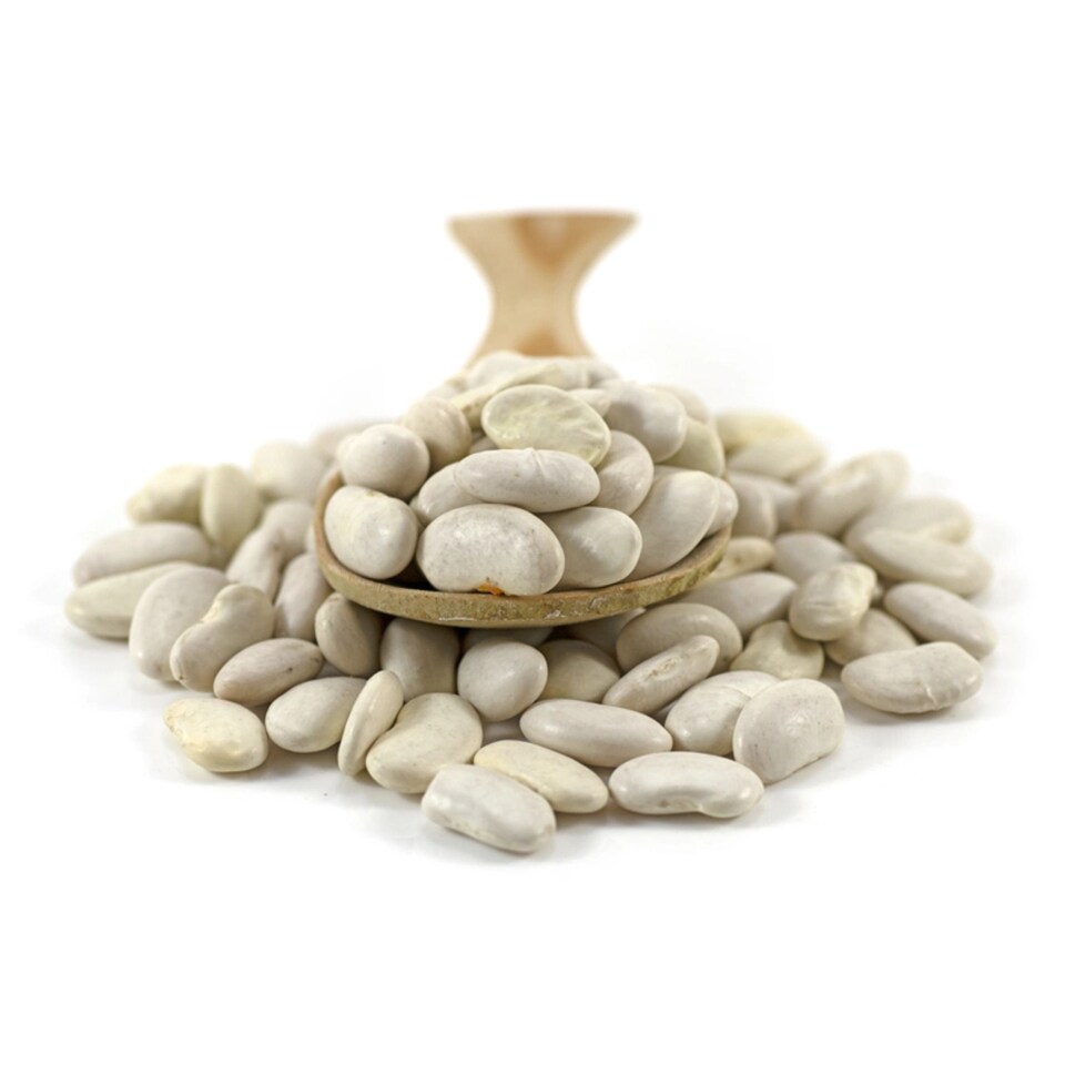 Organic Cannellini Beans 500g (Sussex Wholefoods) | Multi