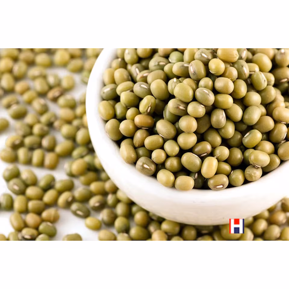 Organic Mung Beans 2kg (Sussex Wholefoods) | Multi