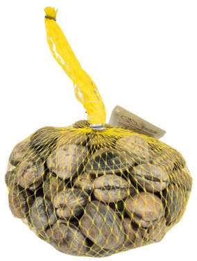 Vongoleskjell Ferske 1kg Nett