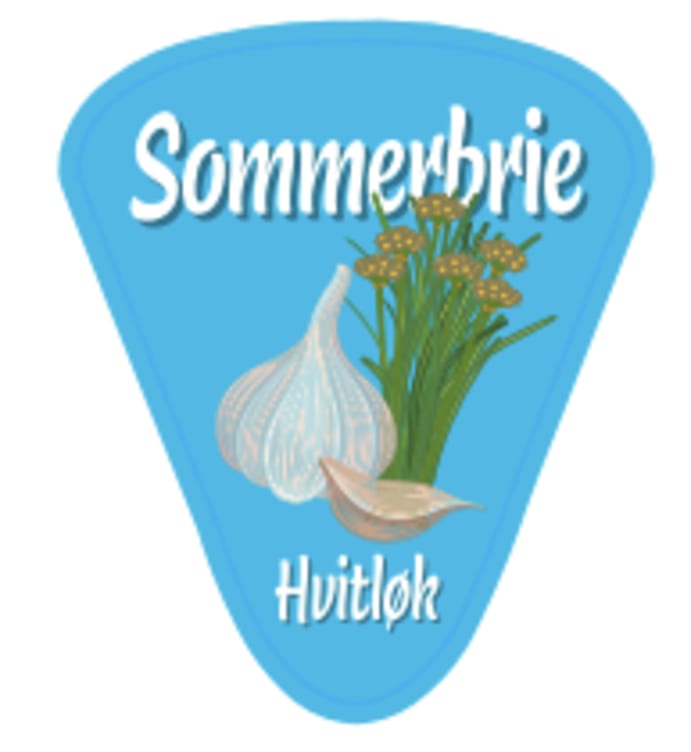 Sommerbrie 105g