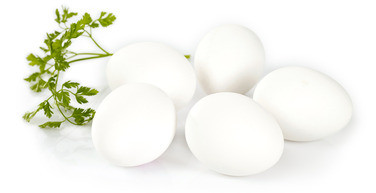 Egg ml Frittgående Høns 4 Brett Prior