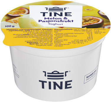 Yoghurt Melon 100g Tine