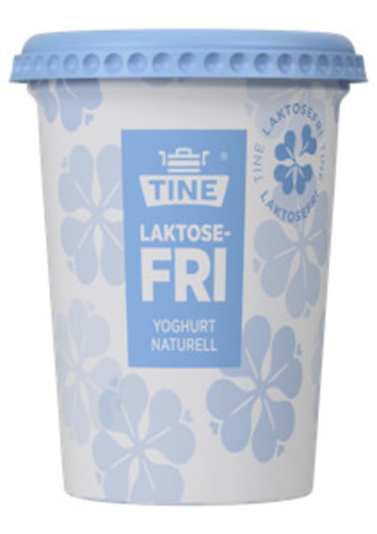 Yoghurt Naturell Laktosefri 500g Tine