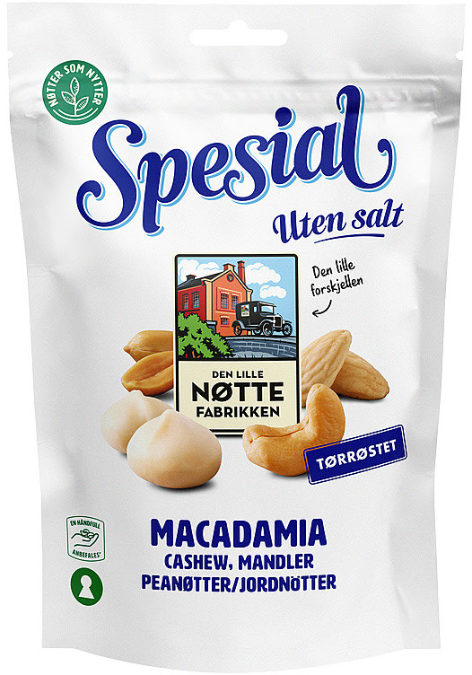 Spesial Nøtter u/Salt 170g Dln