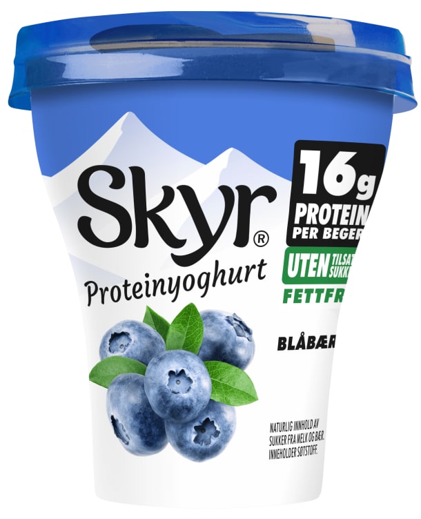 Skyr Blåbær 160g Q