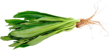 Thai Parsley 80g So Fresh