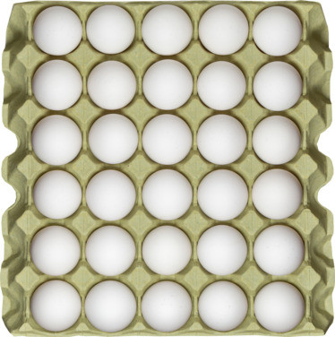 Large Egg Brett 30stk