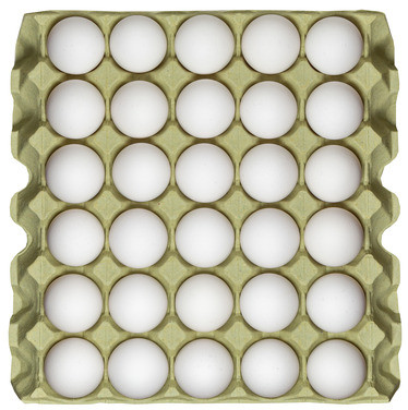 Large Egg Brett 30stk