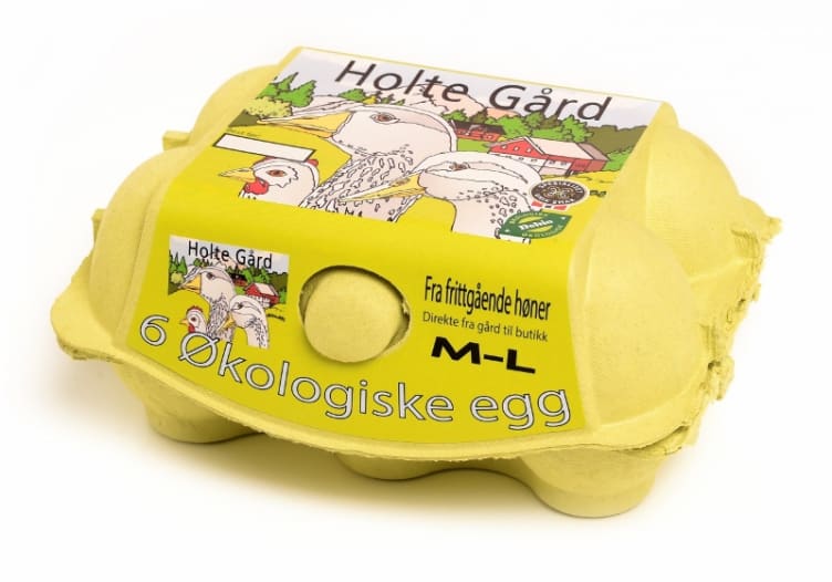 Egg Økologisk 6stk 380g Holte
