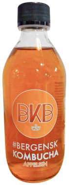 Artig Appelsin Kombucha 330ml Bkb
