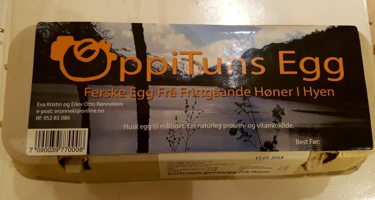 Egg Frittgående 10pk 630g Oppituns