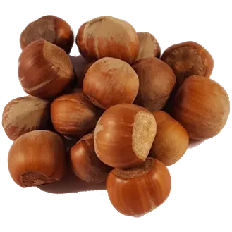 Hasselnøtter Med Skall Kg