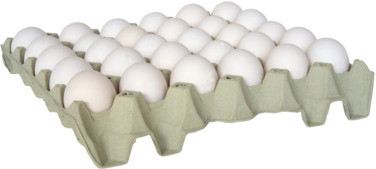 Gardsegg Brett A 30 Egg