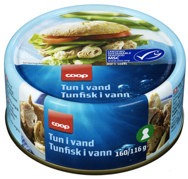 Tunfisk i Biter