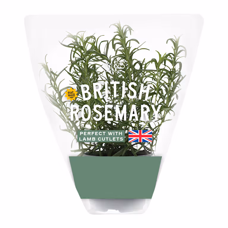 M&S British Rosemary